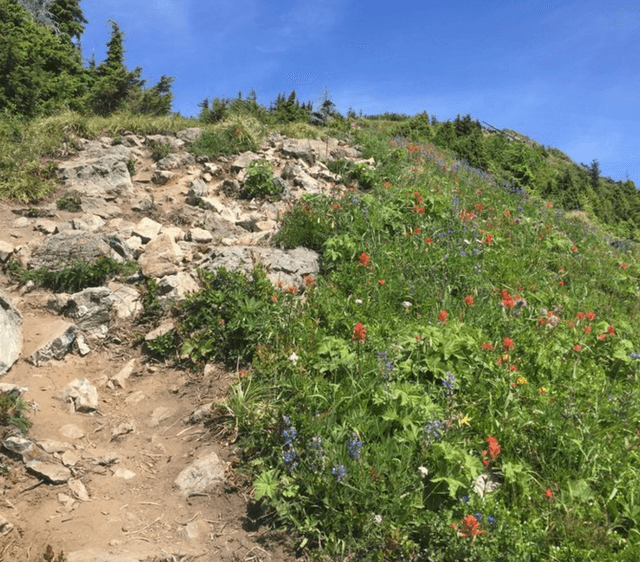 Mailbox Peak Trailhead