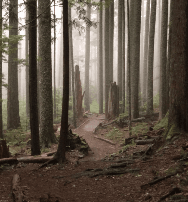 Mt. Si Trailhead