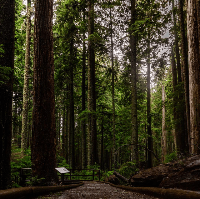 Mt. Si Trailhead