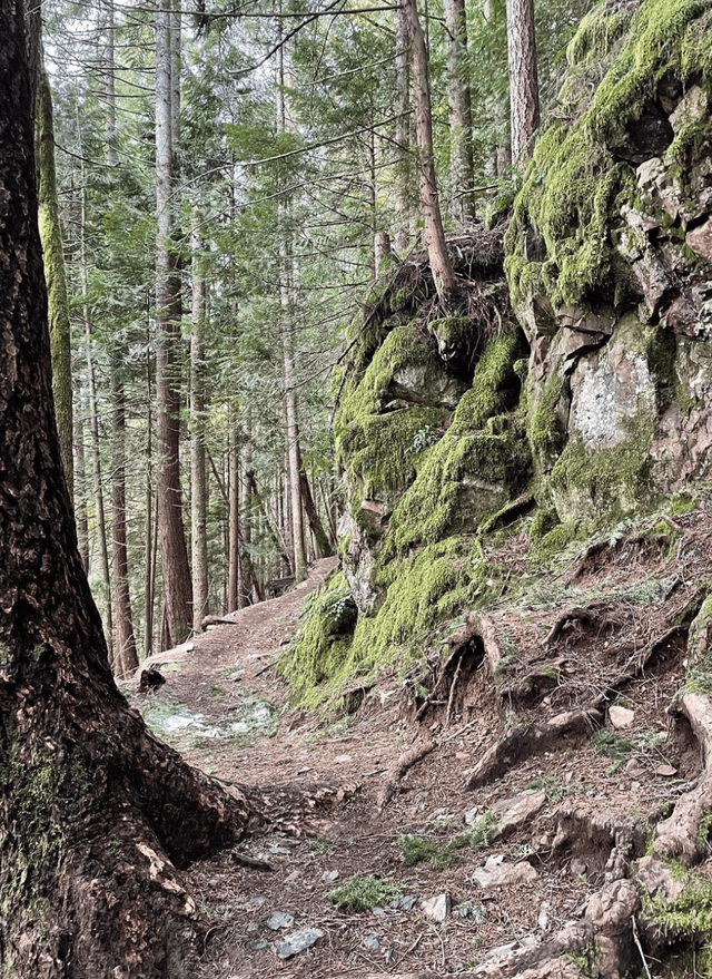 Mt. Si Trailhead