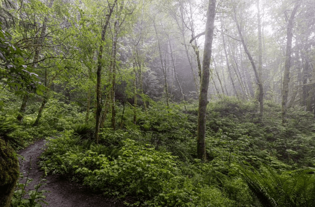 Poo-Poo Point Trailhead