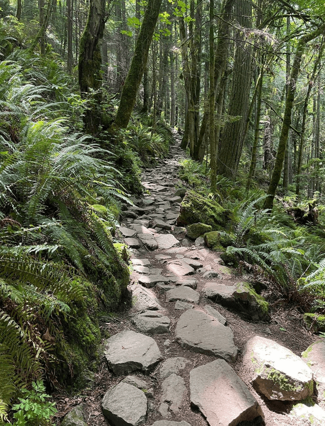 Poo-Poo Point Trailhead