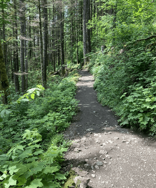 Rattlesnake Ledge Trailhead