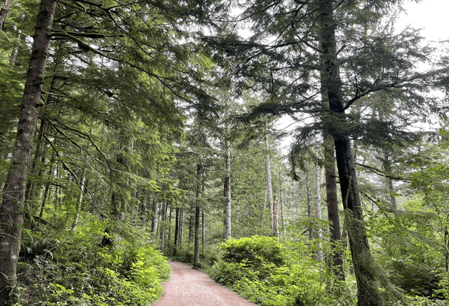 Wallace Falls Trailhead