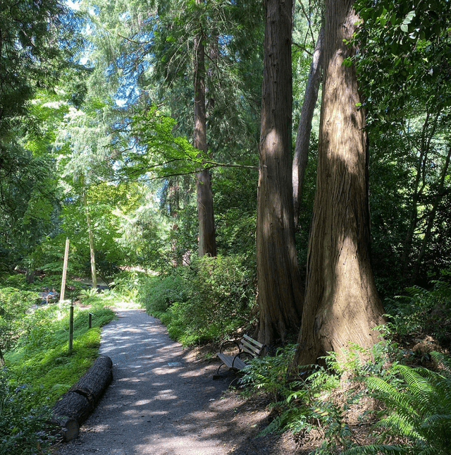 Washington Park Arbortetum