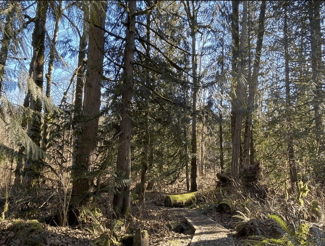 Soaring Eagle Regional Park