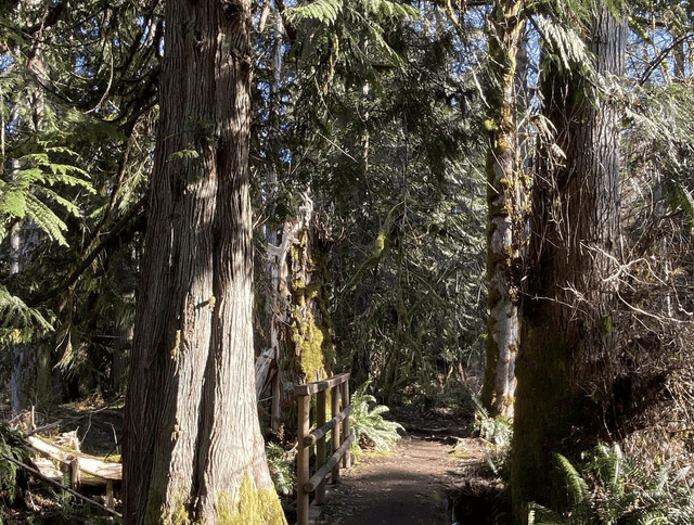 Soaring Eagle Regional Park