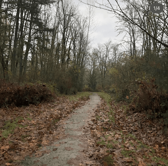 Soaring Eagle Regional Park