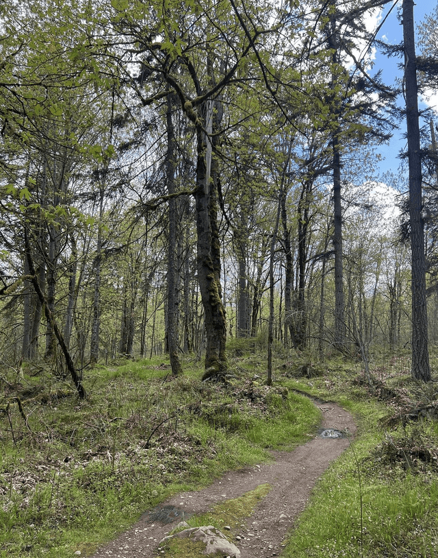 Soaring Eagle Regional Park