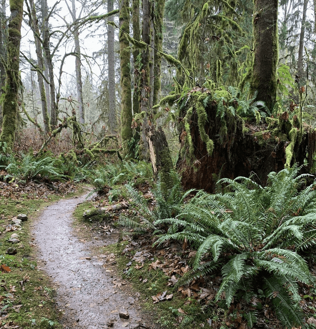 Soaring Eagle Regional Park