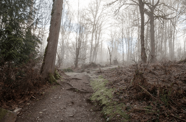 Soaring Eagle Regional Park