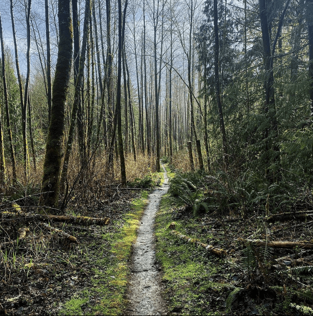 Soaring Eagle Regional Park