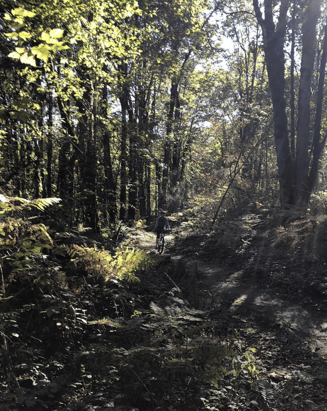 Soaring Eagle Regional Park