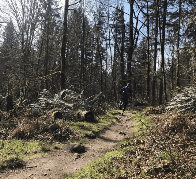 Soaring Eagle Regional Park