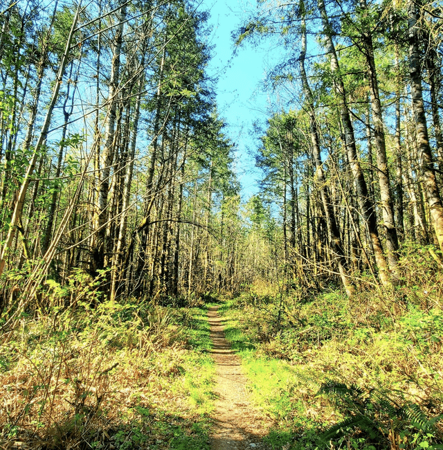 Black Diamond Open Space