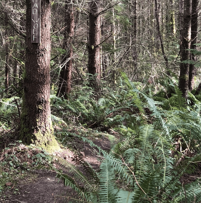 Black Diamond Open Space