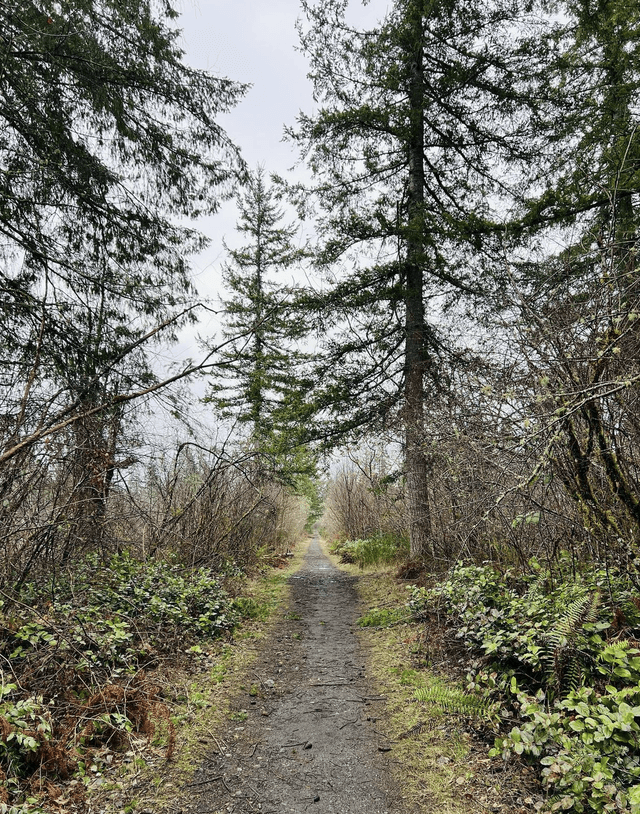 Black Diamond Open Space