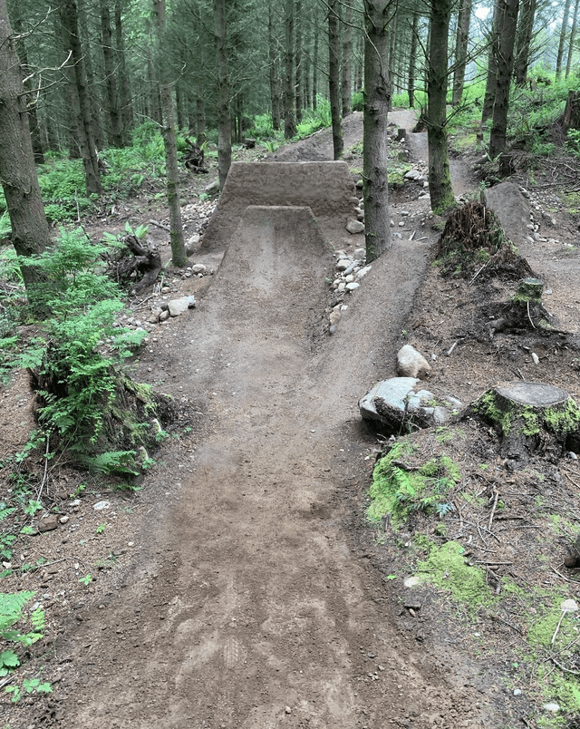 Galbraith Mountain Bike Park