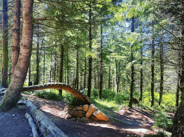 Galbraith Mountain Bike Park