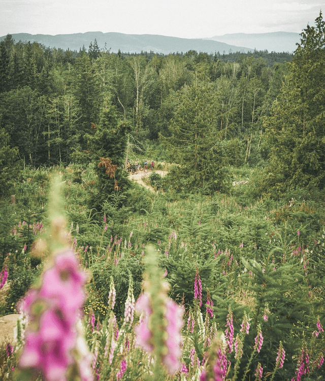 Galbraith Mountain Bike Park