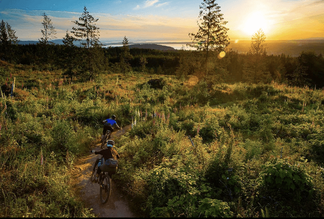 Galbraith Mountain Bike Park