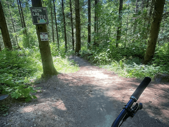 Galbraith Mountain Bike Park