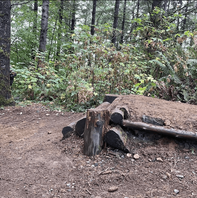 Galbraith Mountain Bike Park