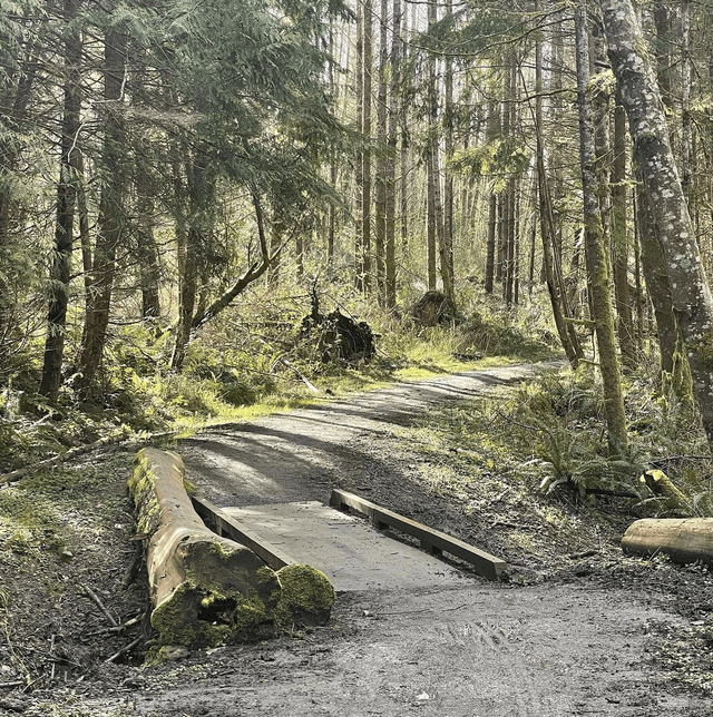 Port Gamble Forest Heritage Park