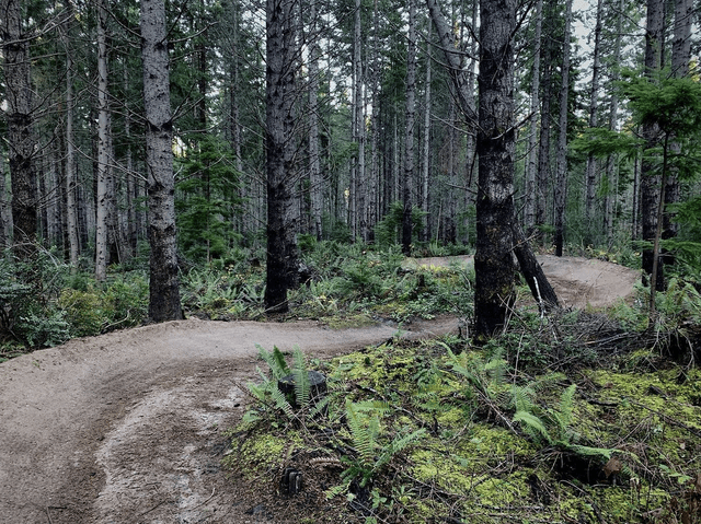 Port Gamble Forest Heritage Park