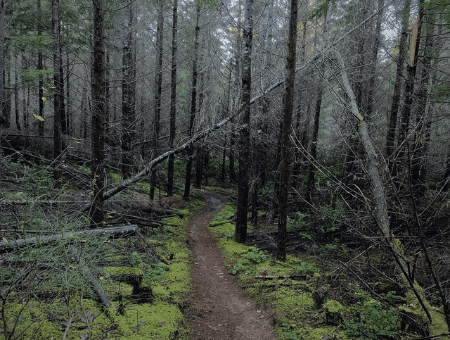 Port Gamble Forest Heritage Park