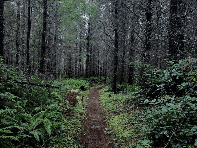 Port Gamble Forest Heritage Park