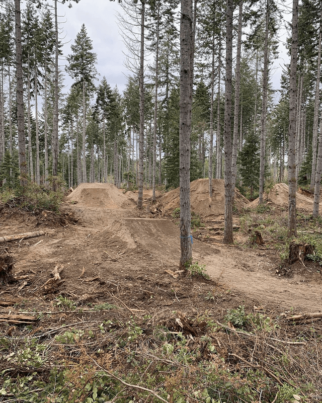 Port Gamble Forest Heritage Park