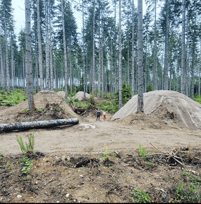 Port Gamble Forest Heritage Park