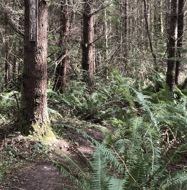 Rock Candy Mountain Trailhead