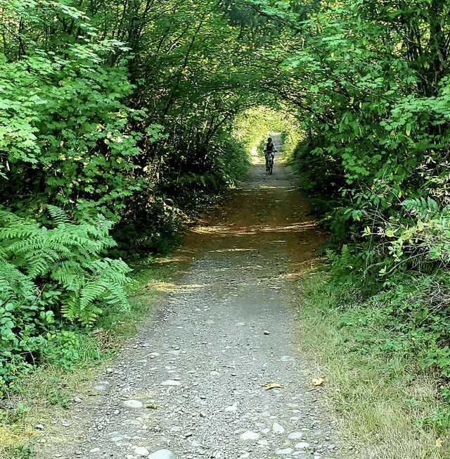 Rock Candy Mountain Trailhead