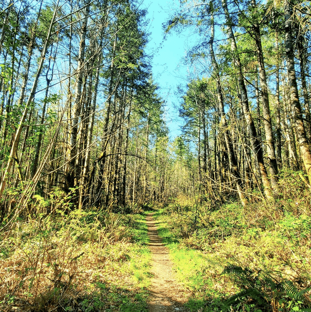 Rock Candy Mountain Trailhead