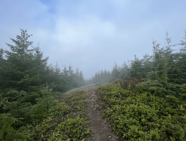 Rock Candy Mountain Trailhead