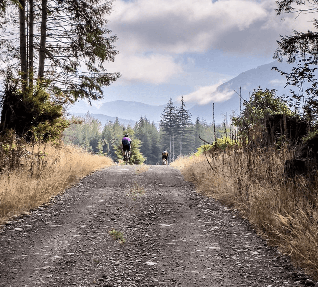 Tokul Trail System