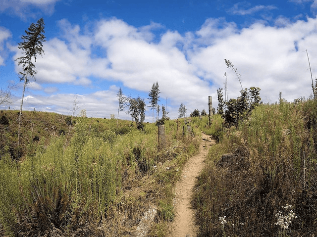 Tokul Trail System