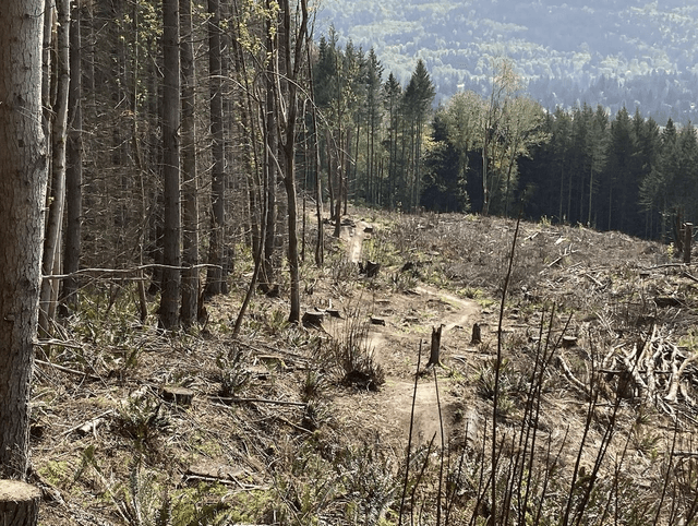 Tokul Trail System