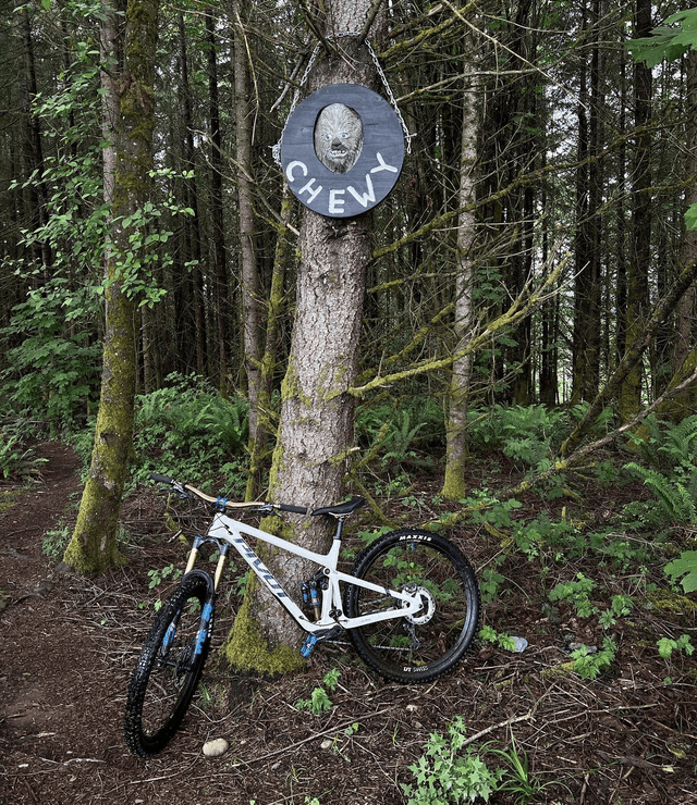 Tokul Trail System