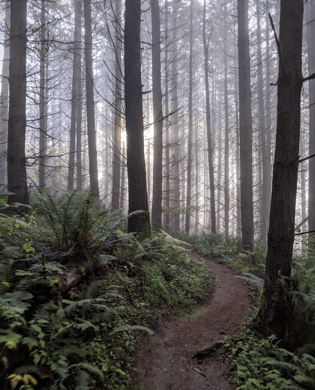 Tokul Trail System