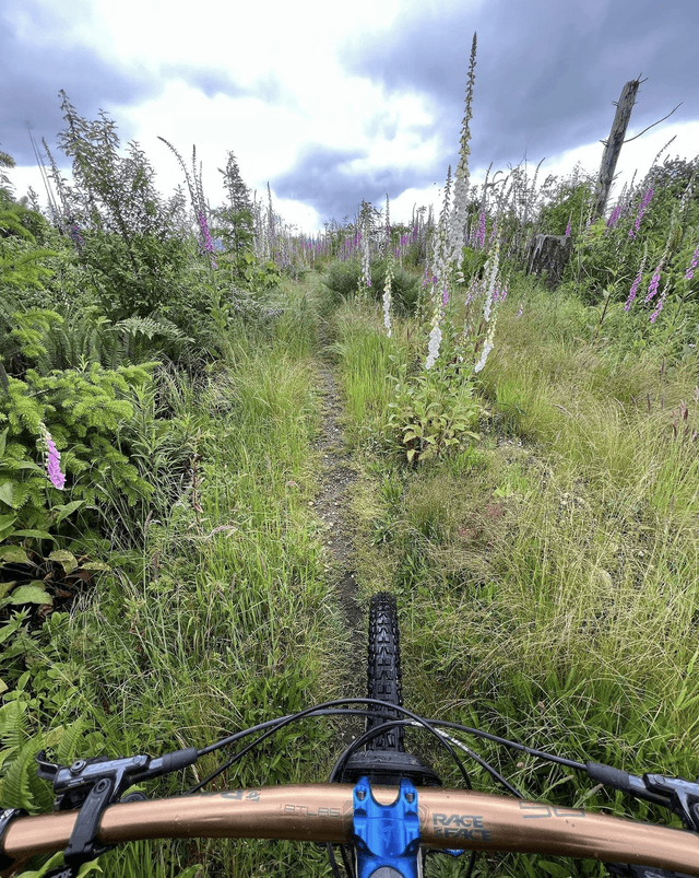 Tokul Trail System