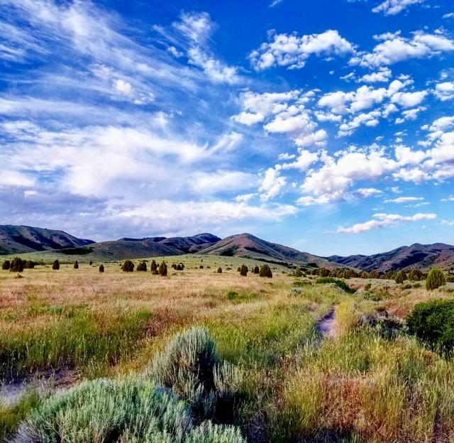 Lower City Creek Trailhead