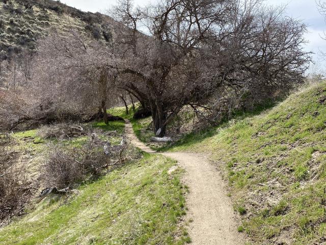 Lower City Creek Trailhead