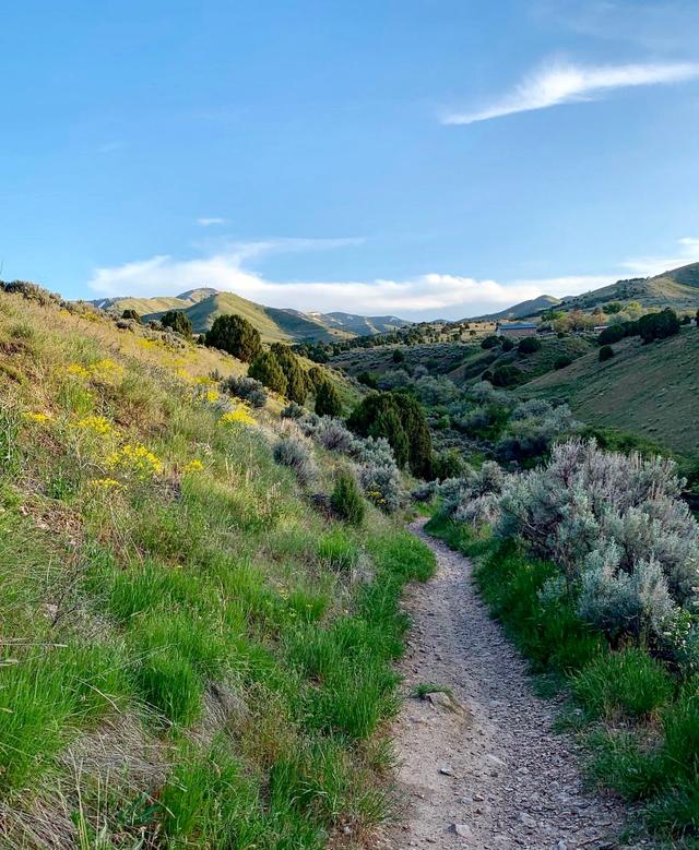 Lower City Creek Trailhead