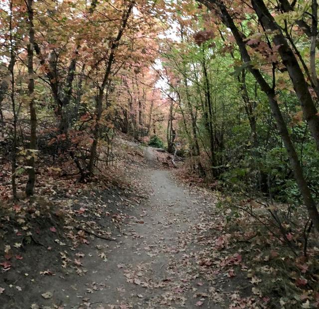 Lower City Creek Trailhead