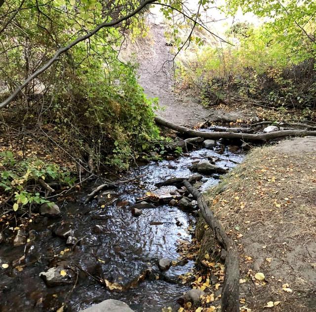 Lower City Creek Trailhead