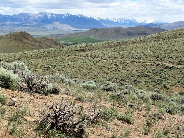 Challis Foothills Trailhead