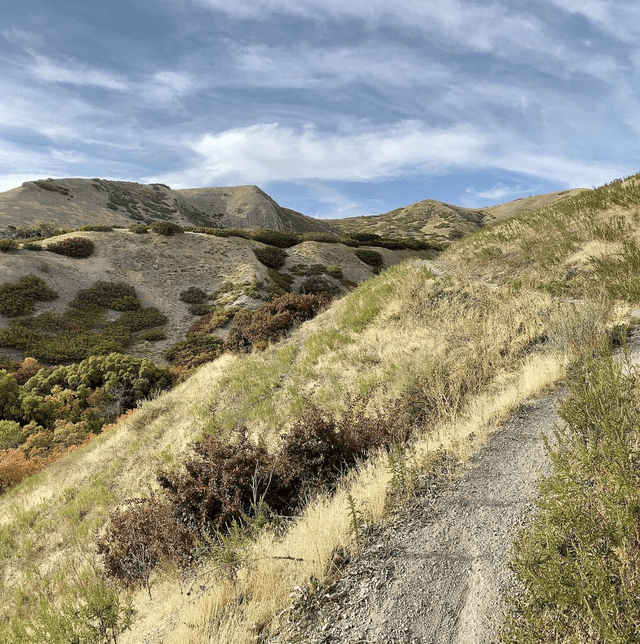 City Creek Canyon Trailhead